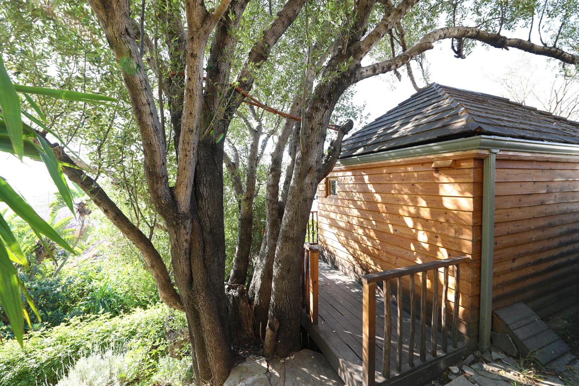 Mimi Calpe Bed & Breakfast แทนเจียร์ ห้อง รูปภาพ